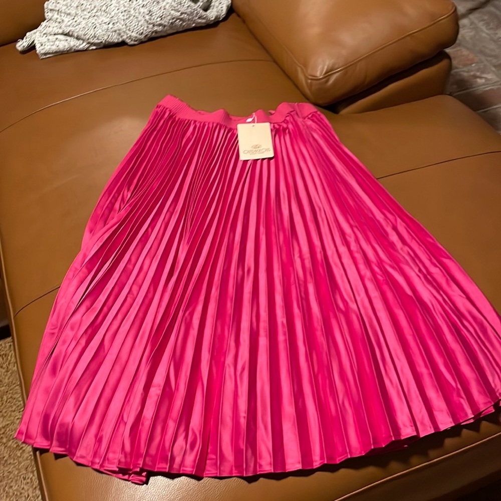 Pleated Skirt. Never worn. NWT.